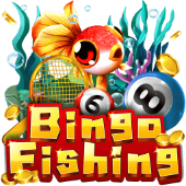 Cau Ca Bingo - m 33win68 com vip games
